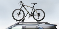 Bike rack for roof