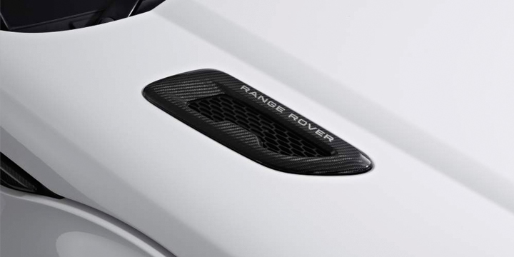 Bonnet Lamellen in Carbon