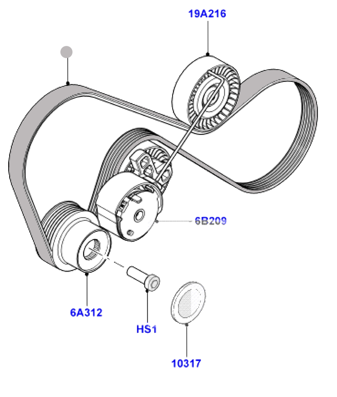 Multibelt  3.2 L DOHC MPI PETROL S16